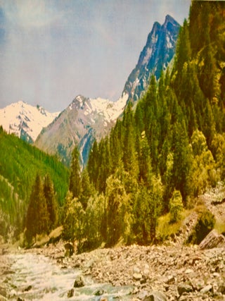 ORIGINAL POSTER: "FRANCE / TROUT FISHING IN THE ALPS" LINEN-BACKED